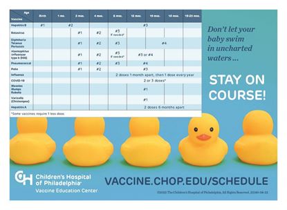 Immunization schedule cling
