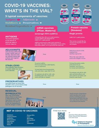 Picture of COVID-19 Vaccine Ingredients Infographic