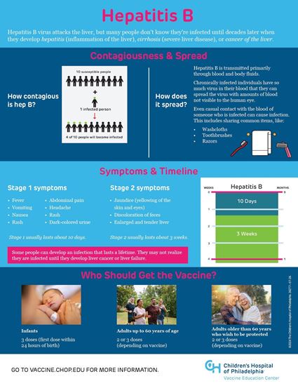 Picture of Hepatitis B Infographic