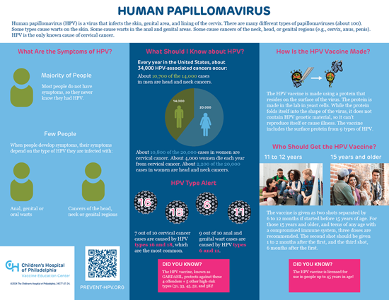 Picture of HPV Infographic