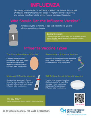 Picture of Influenza Infographic