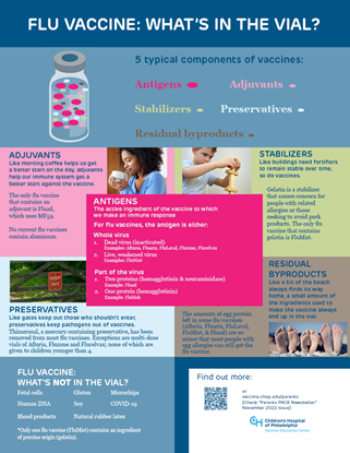 Picture of Influenza Vaccine Ingredients Infographic