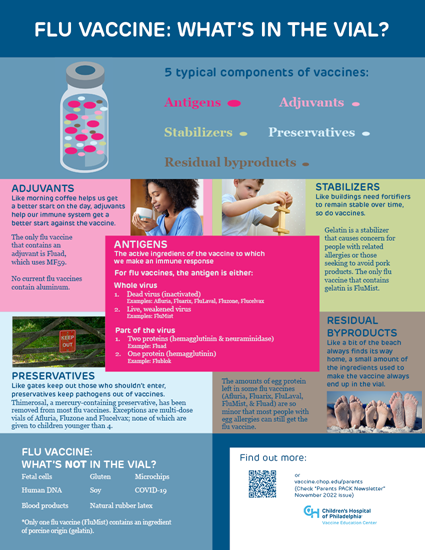 Picture of Influenza Vaccine Ingredients Infographic