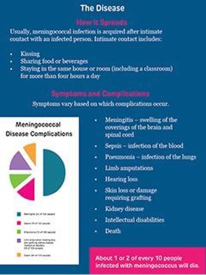 Picture of Meningococcus Infographic